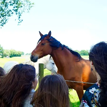 Domaine Melusine - A 2km Du Puy Dufou France ! 4* Les Épesses