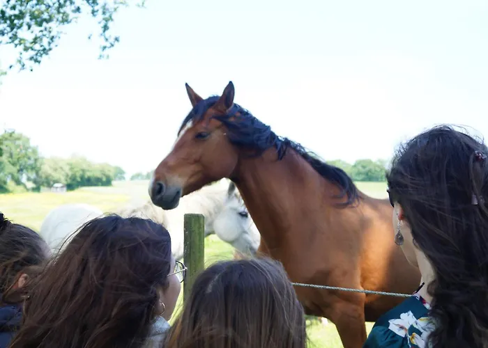 Domaine Melusine - A 2km Du Puy Dufou France ! 4*