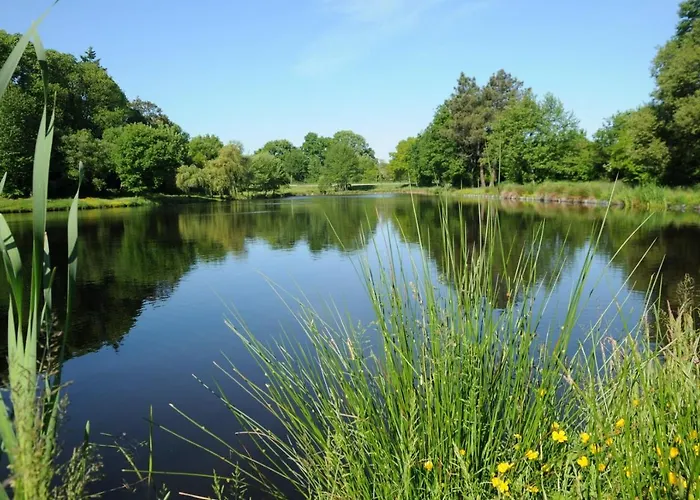 ホリデーパーク Domaine Melusine - A 2km Du Puy Dufou France ! 4*